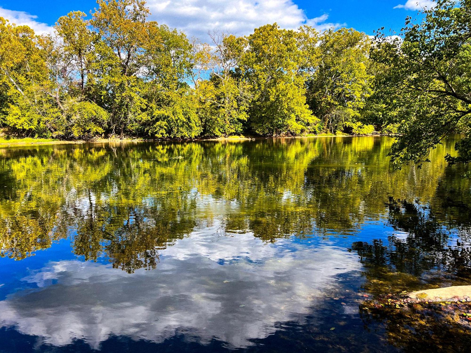 Luray Rv Resort On Shenandoah River 외부 사진