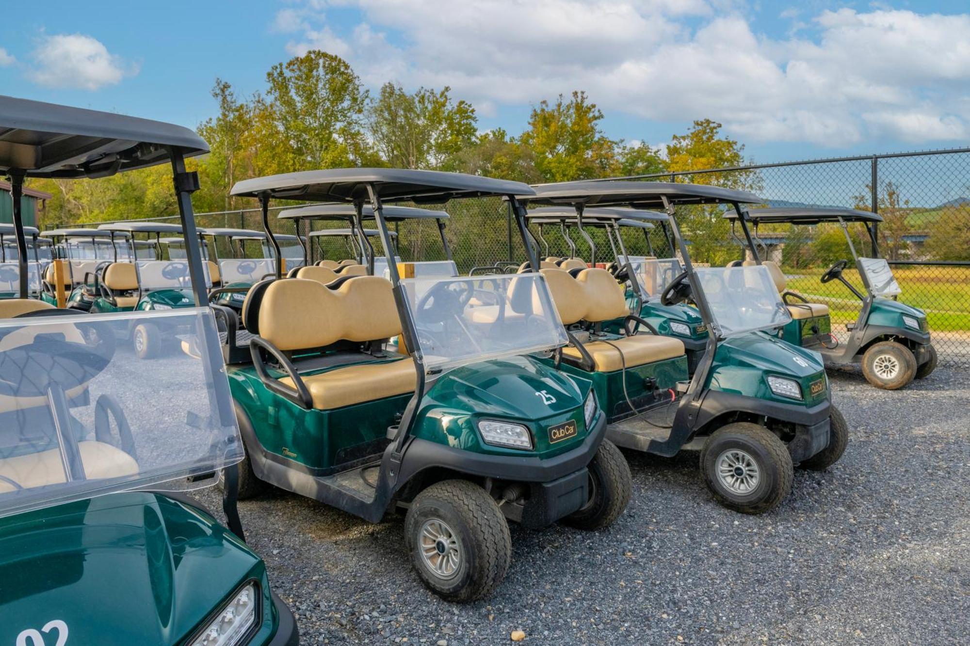 Luray Rv Resort On Shenandoah River 외부 사진